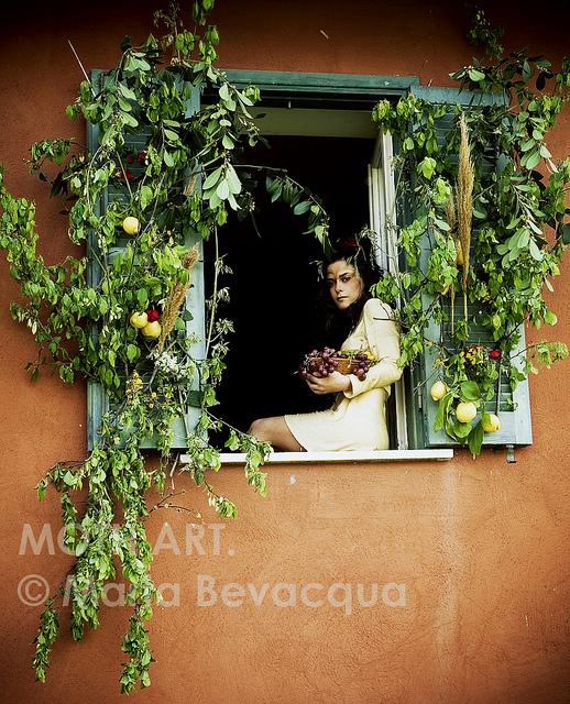 Windows Project by Marta Bevacqua