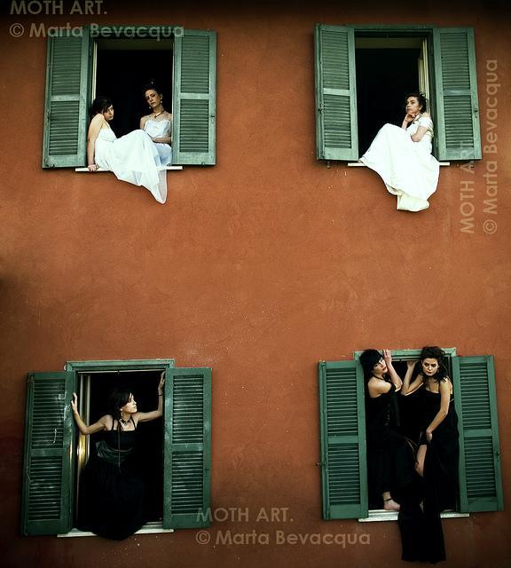 Windows Project by Marta Bevacqua