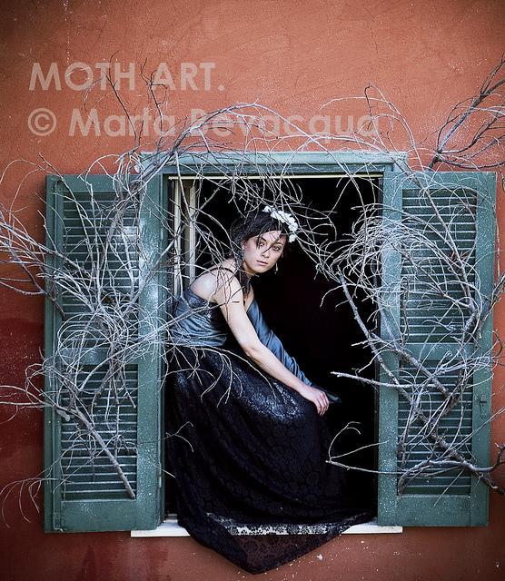 Windows Project by Marta Bevacqua