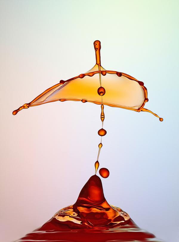 Water Drops Photography by Heinz Maier