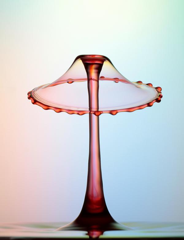 Water Drops Photography by Heinz Maier