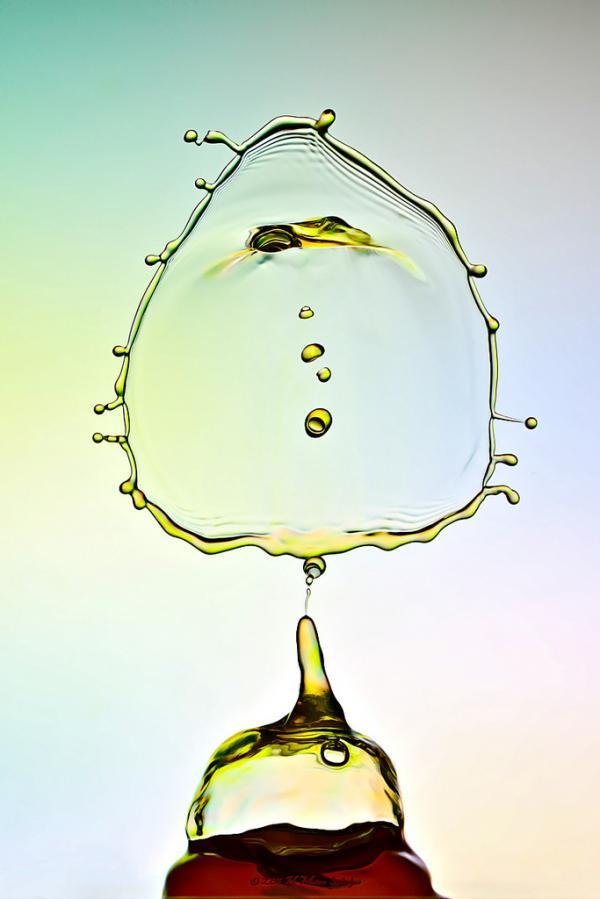 Water Drops Photography by Heinz Maier