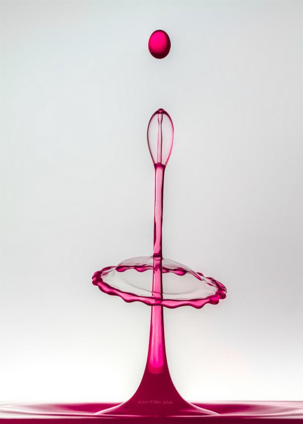 Water Drops Photography by Heinz Maier