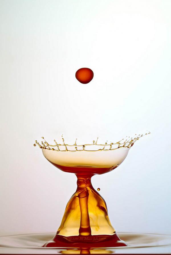 Water Drops Photography by Heinz Maier