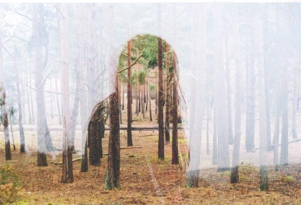 Beautiful Double Exposure Photos