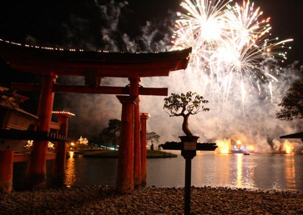 40 Spectacular Fireworks Photography