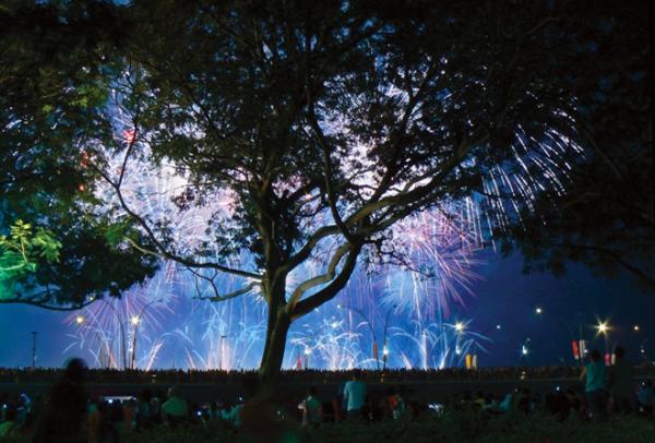 40 Spectacular Fireworks Photography