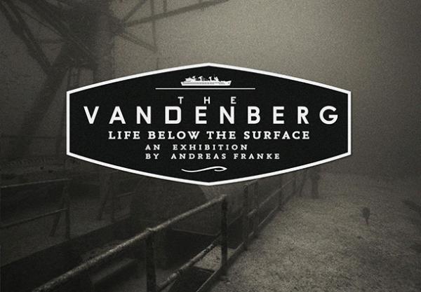 Life Below The Surface