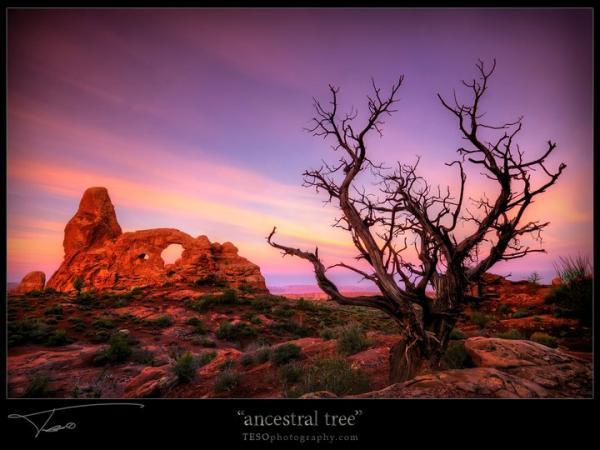 Landscape Photography by Terje Sorgjerd