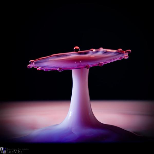 Water Drop Photography by Luc V