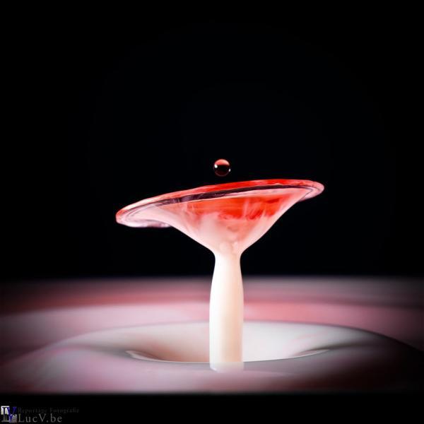 Water Drop Photography by Luc V