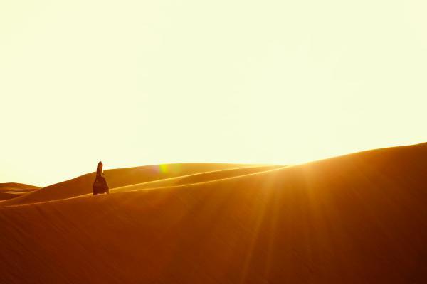 Cheerful Photography by Frank Grimm