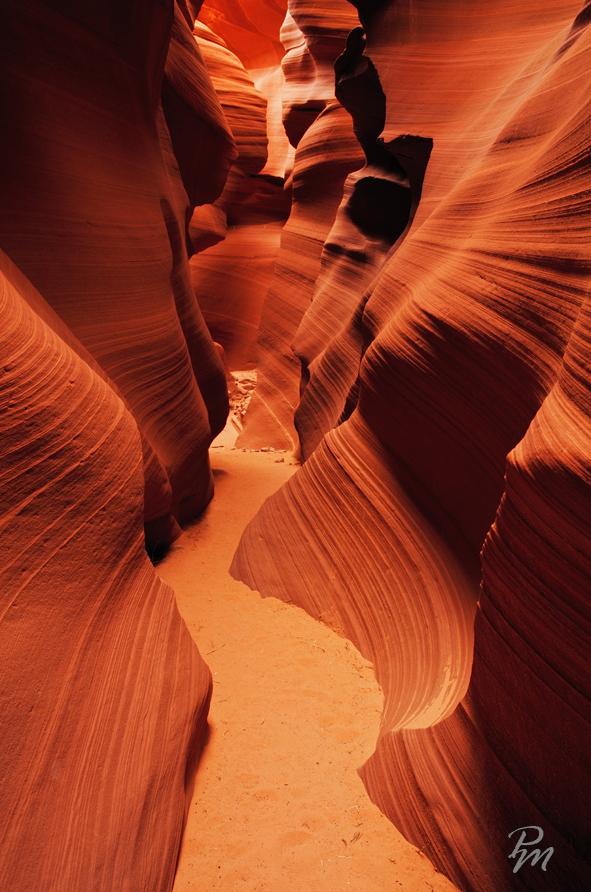 Photography by Phill Monson
