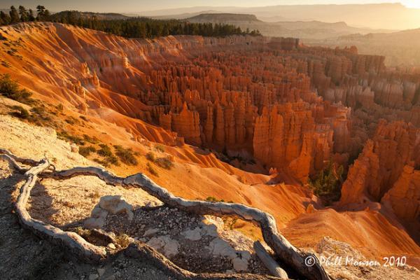Photography by Phill Monson