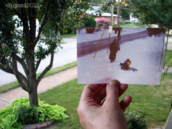 Dear Photographs