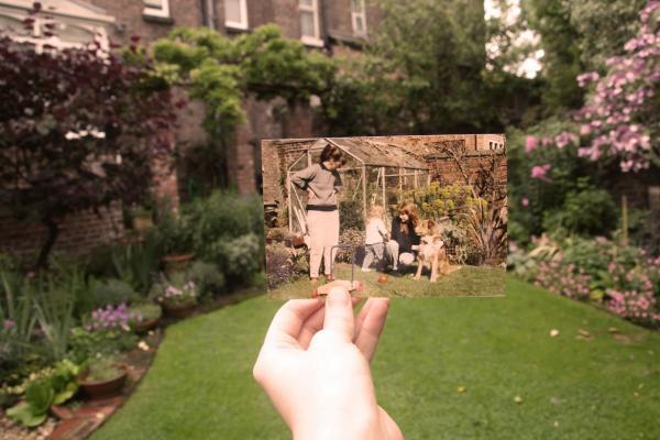 Dear Photographs
