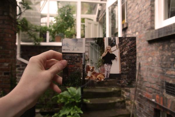 Dear Photographs