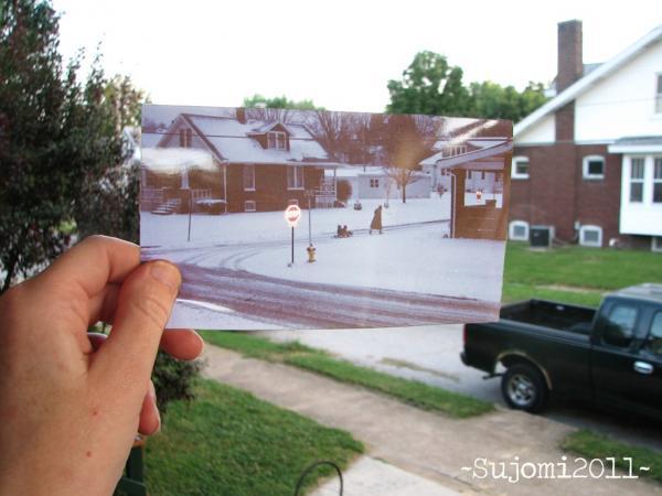 Dear Photographs