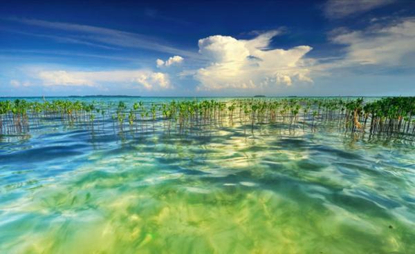 Beautiful Landscapes by Arnov Setyanto