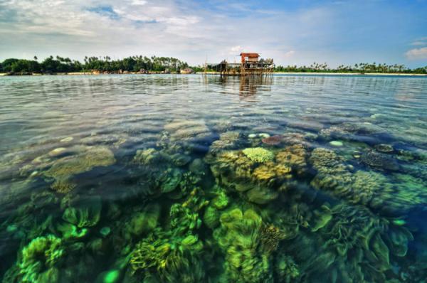 Beautiful Landscapes by Arnov Setyanto
