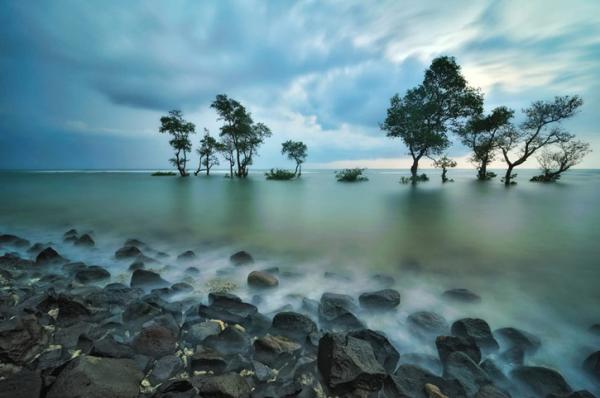 Beautiful Landscapes by Arnov Setyanto