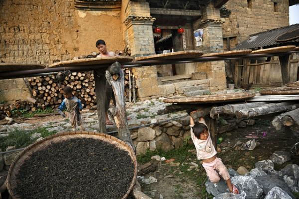 Documentary Photography by Michael Yamashita