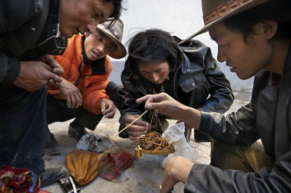 Documentary Photography by Michael Yamashita
