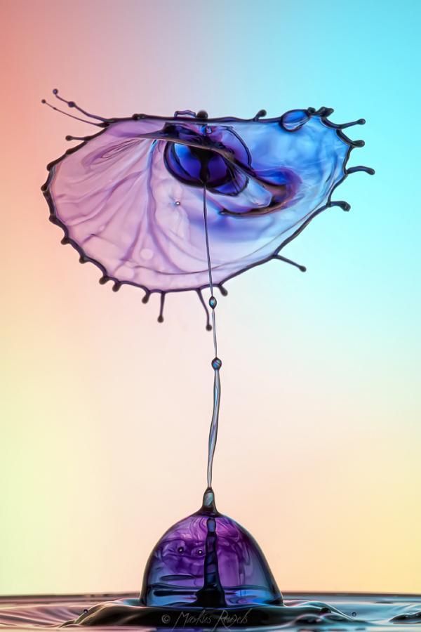 Water Drops Photography by Markus Reugels