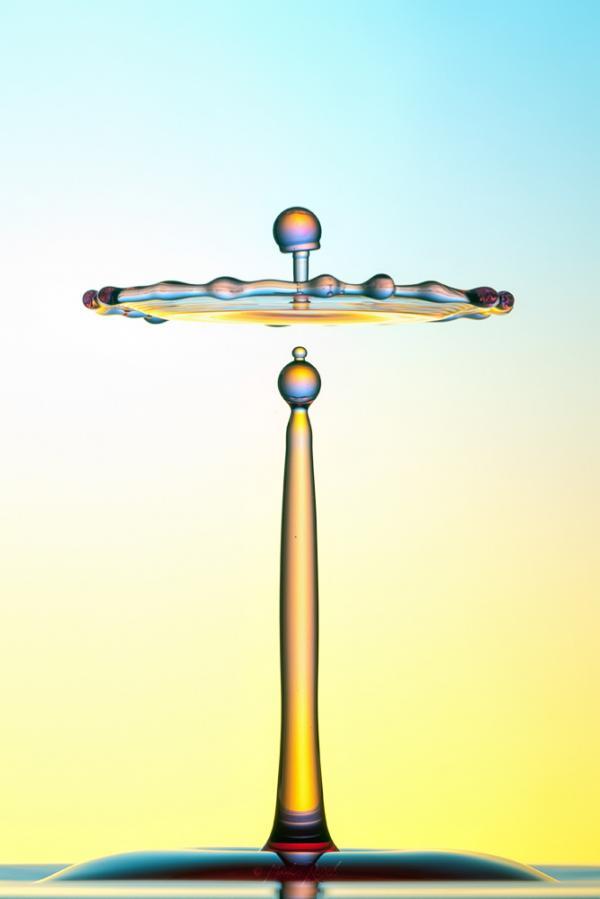Water Drops Photography by Markus Reugels