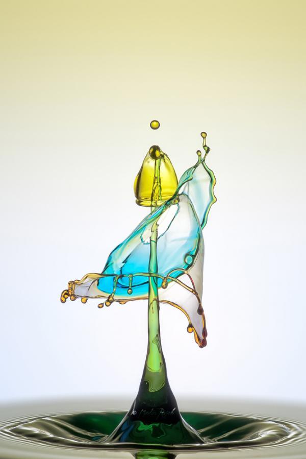 Water Drops Photography by Markus Reugels
