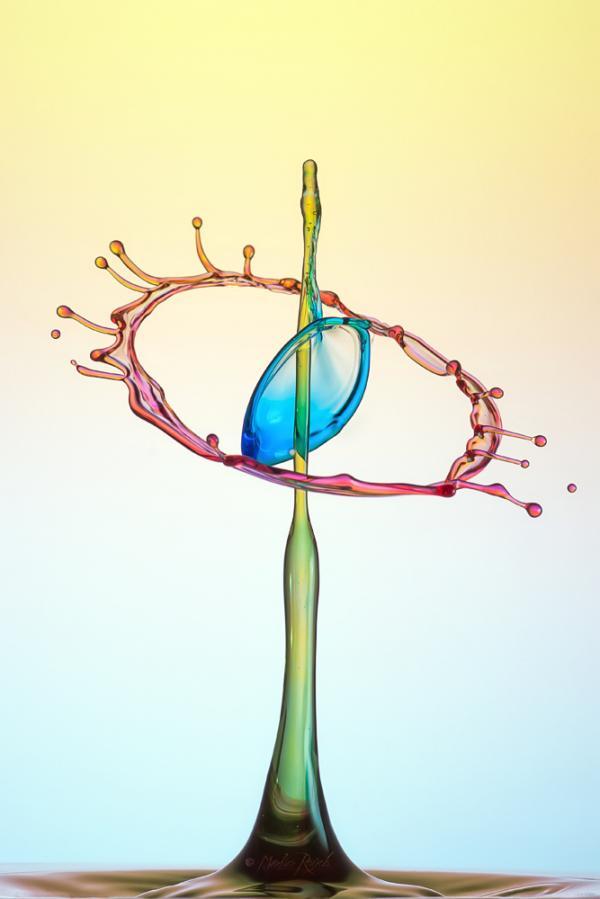 Water Drops Photography by Markus Reugels