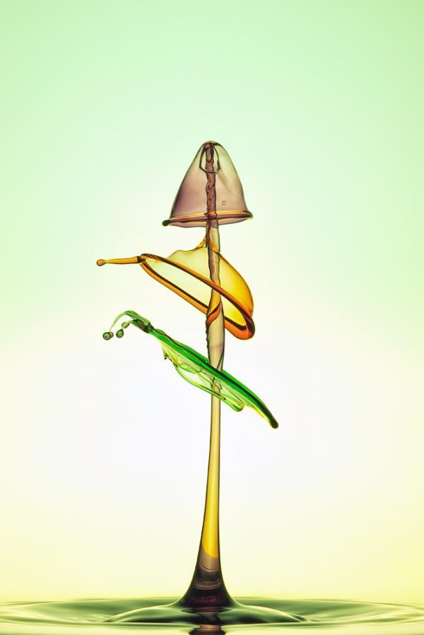 Water Drops Photography by Markus Reugels