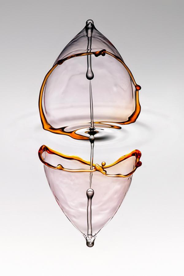 Water Drops Photography by Markus Reugels