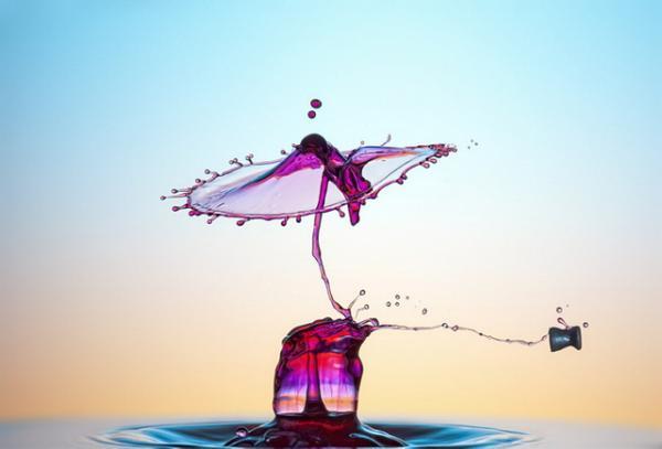 Water Drops Photography by Markus Reugels