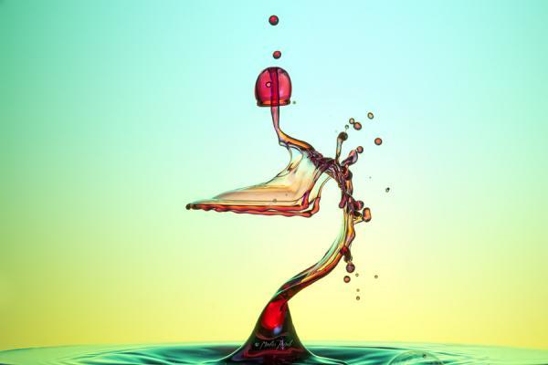 Water Drops Photography by Markus Reugels
