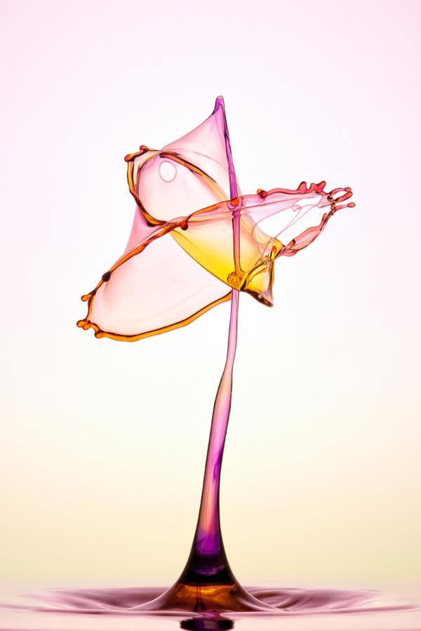 Water Drops Photography by Markus Reugels