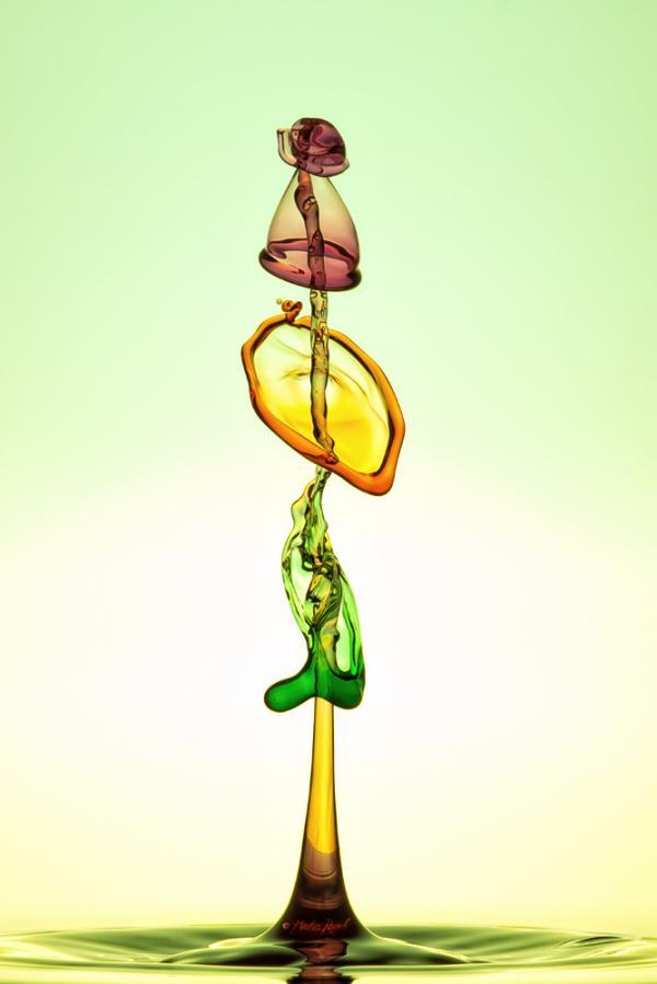 Water Drops Photography by Markus Reugels