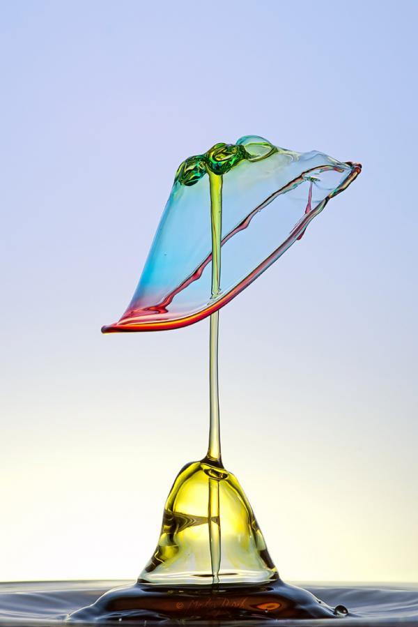 Water Drops Photography by Markus Reugels