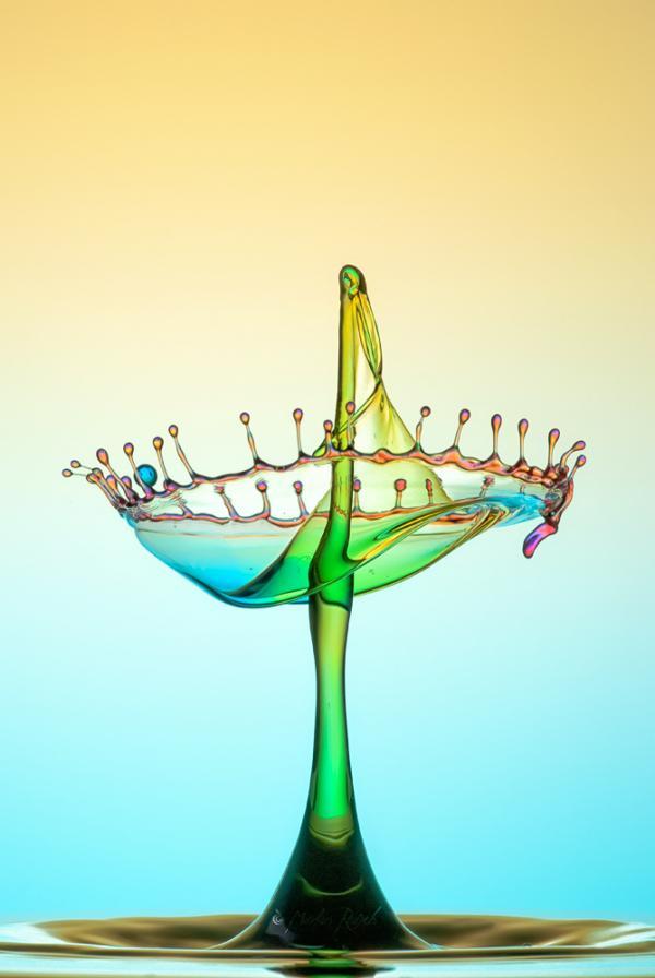 Water Drops Photography by Markus Reugels