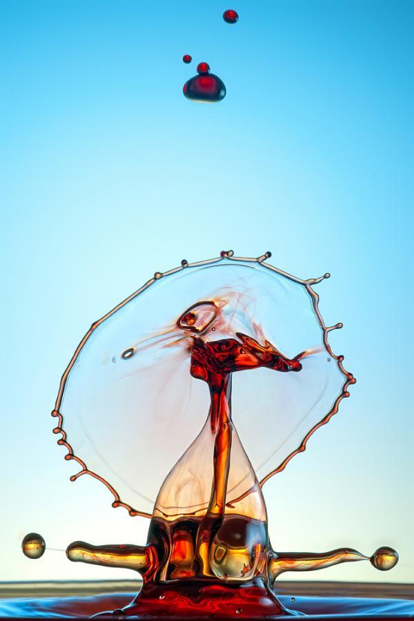 Water Drops Photography by Markus Reugels