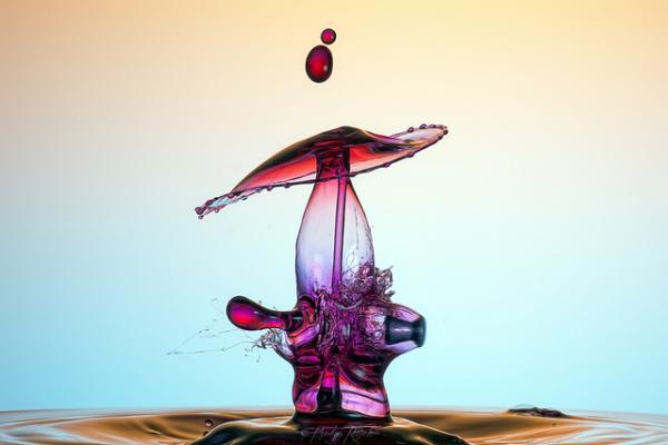 Water Drops Photography by Markus Reugels