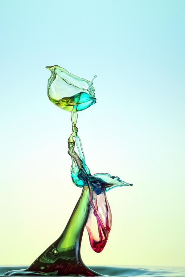 Water Drops Photography by Markus Reugels