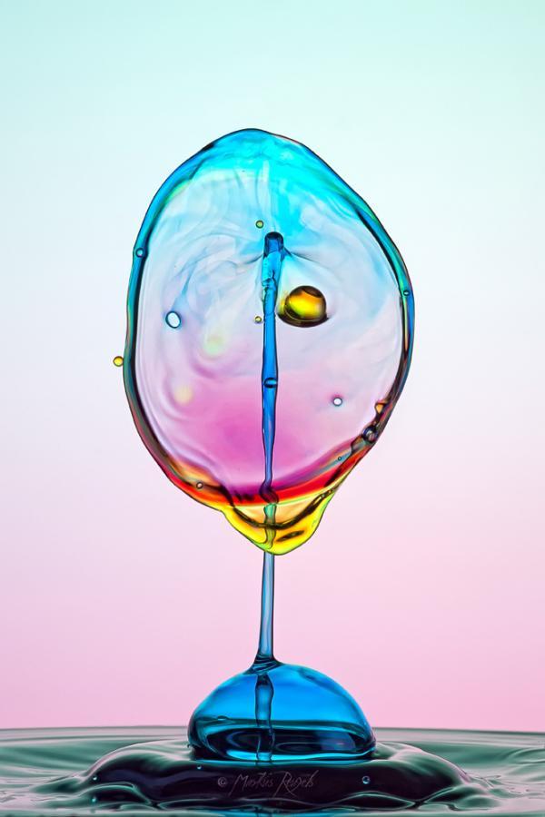 Water Drops Photography by Markus Reugels