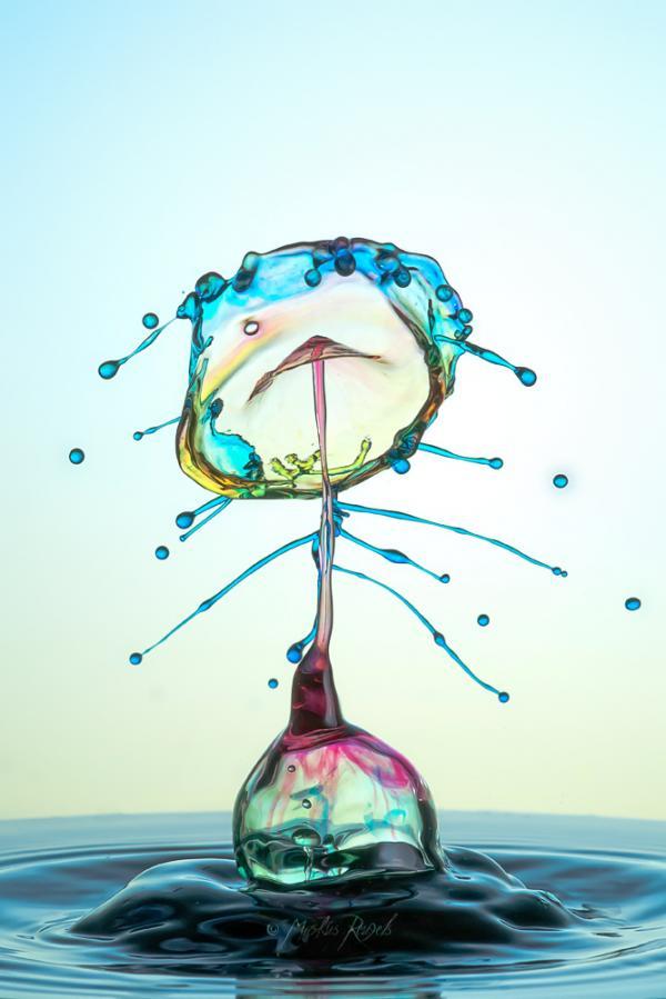 Water Drops Photography by Markus Reugels