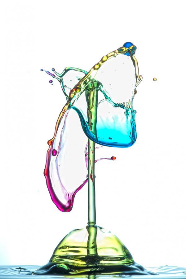 Water Drops Photography by Markus Reugels