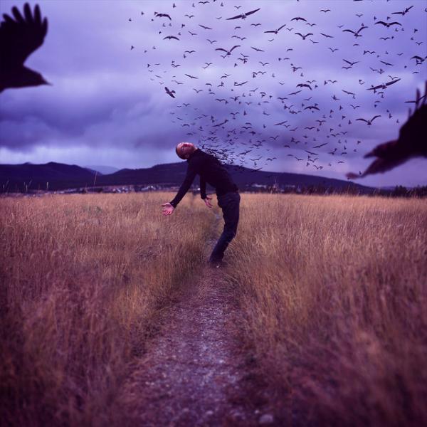 Photo Manipulations by Joel Robison