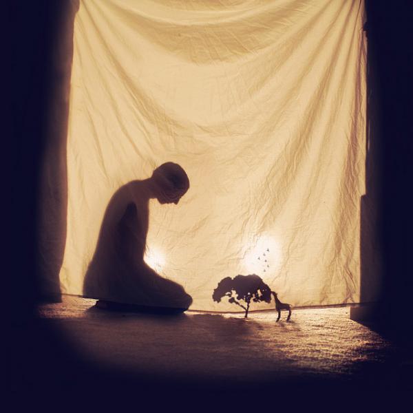 Photo Manipulations by Joel Robison