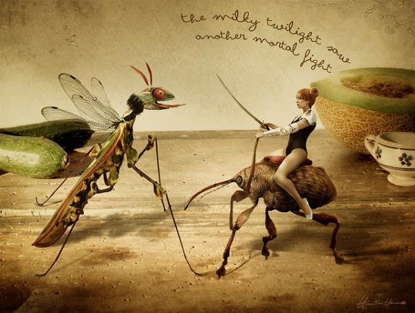 Photo Manipulations by Chiara Fersini