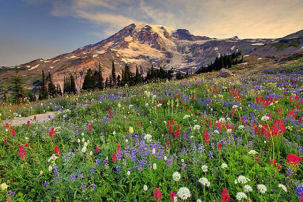Landscape Photography by Kevin McNeal