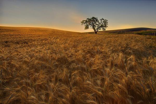 Landscape Photography by Kevin McNeal